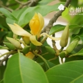 我的相册