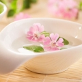 马乔莲