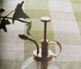 精油喷雾—DIY自己喜欢的芳香剂、除臭剂、清洁剂、驱虫剂、漱口水和防病毒的保护剂
