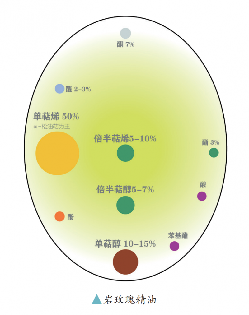 v2-a81d4117d0db97694e60ea0a27d8f71c_1440w (1).png