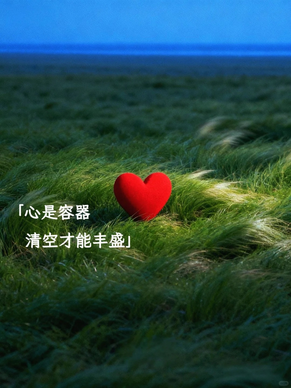 清空 心_1_雅缇疗愈_来自小红书网页版.jpg