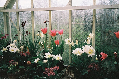 遇见芳疗，致谢芳疗