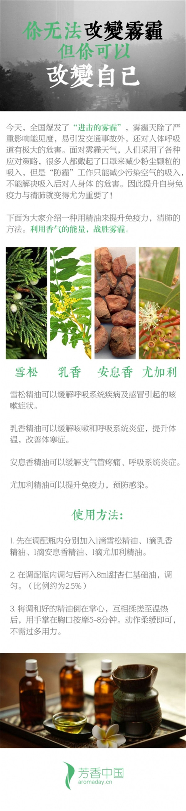 芳香雾霾(2).jpg