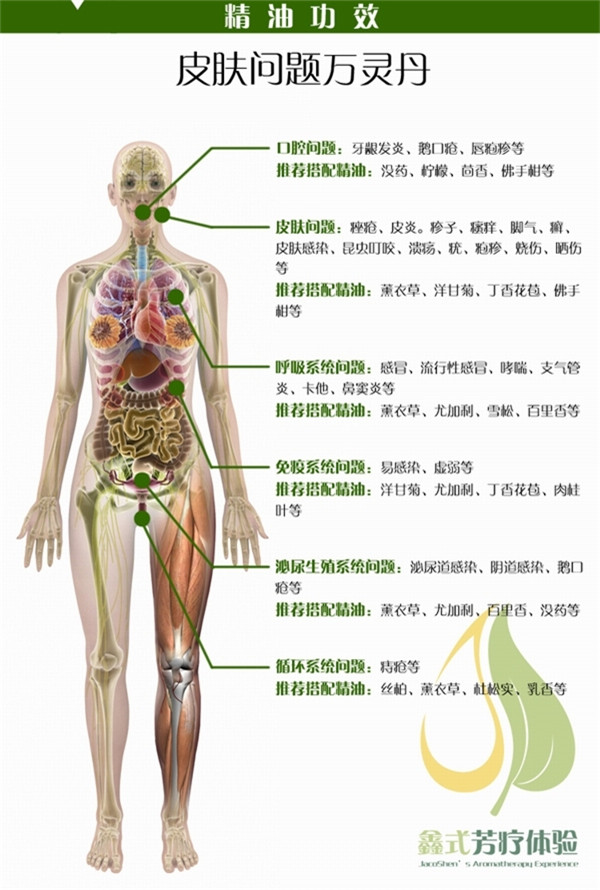 茶树功效手机.jpg