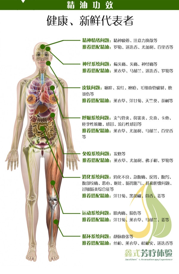 胡椒薄荷功效 手机.jpg