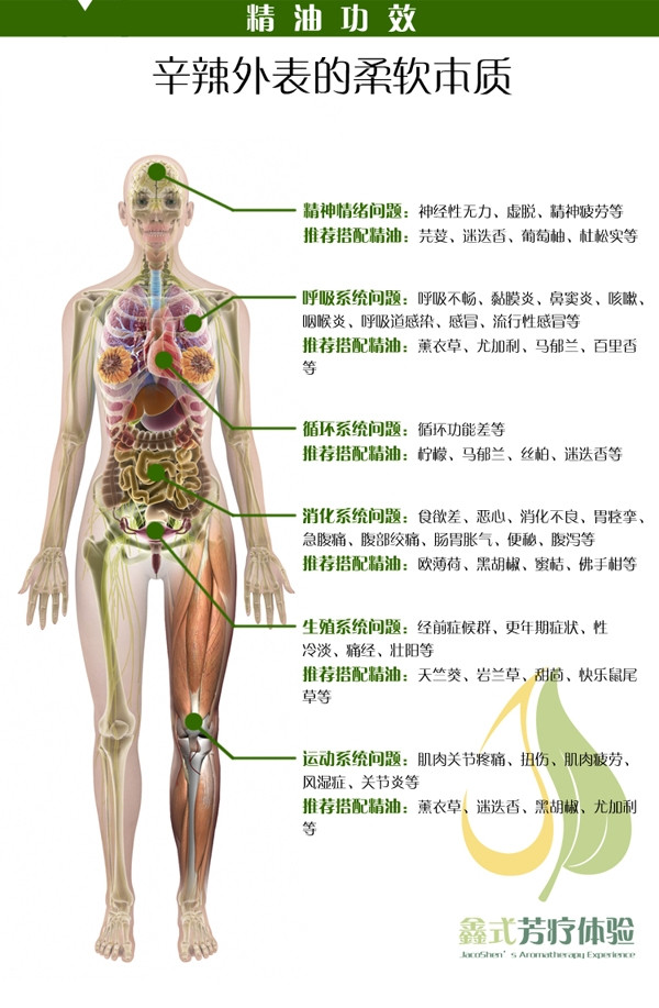 姜功效 手机.jpg