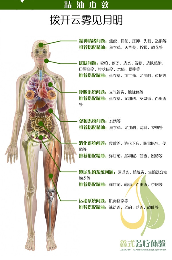 佛手柑功效 手机.jpg