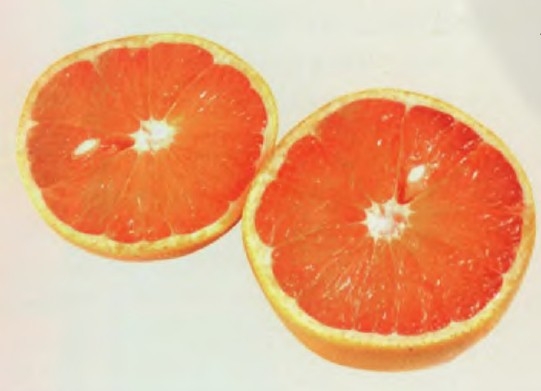 葡萄柚精油