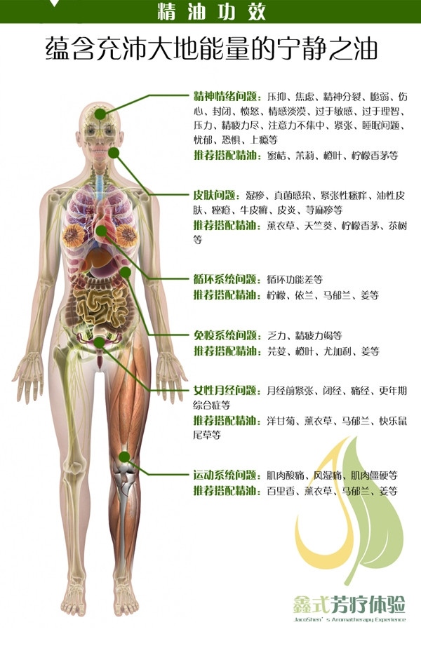 岩兰草功效 手机.jpg