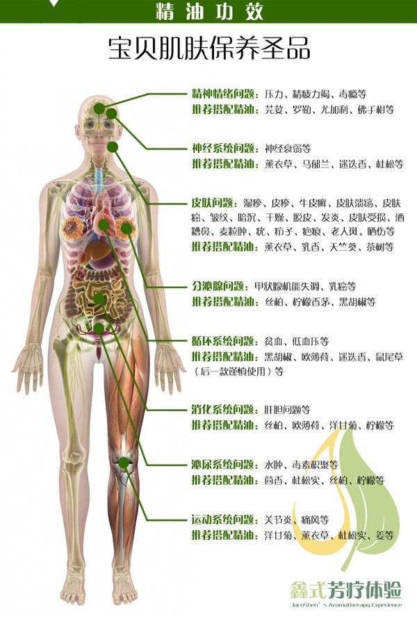 胡萝卜功效 手机.jpg