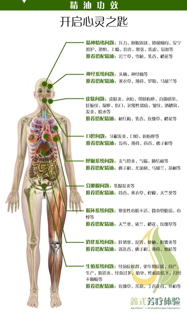 大马士革玫瑰功效 手机.jpg