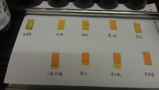 可以看见前排都是橘色的，而后面除了薰衣草都是绿的
