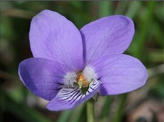 002kYrdtgy6I7KlliYQac&amp;690.jpg