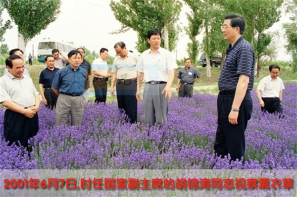 胡锦涛.jpg