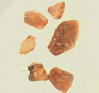 安息香精油Styrax benzoe