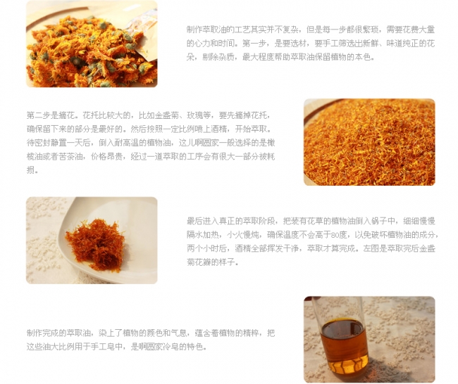 金盏菊萃取.jpg