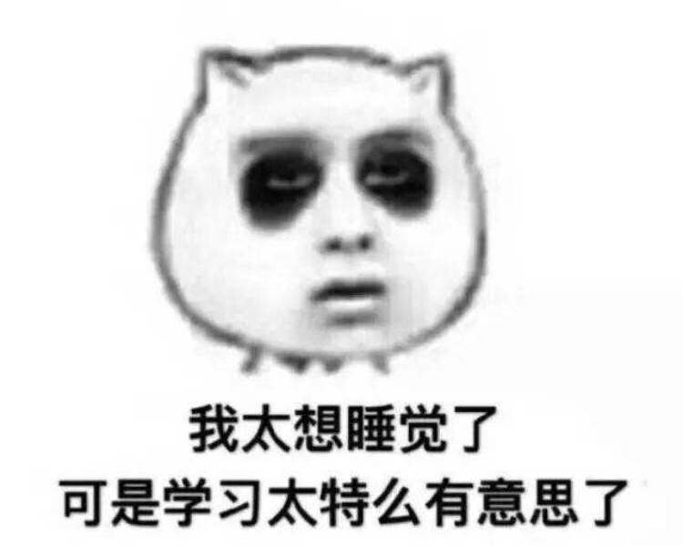 1575101782876053755.jpg