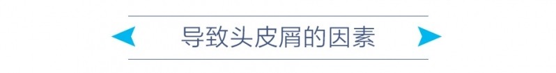 导致头皮屑的因素.jpg