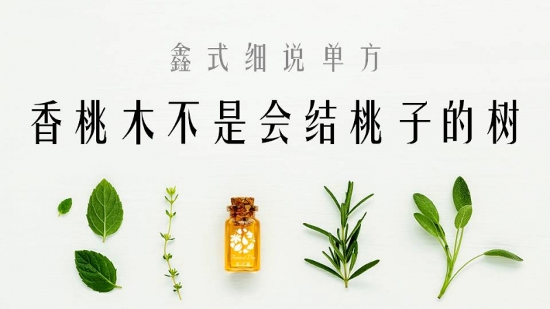 幻灯片1.JPG