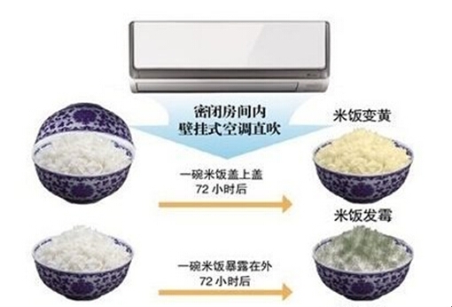 空调米饭实验.jpg