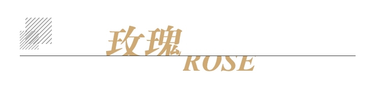 单方标题.jpg