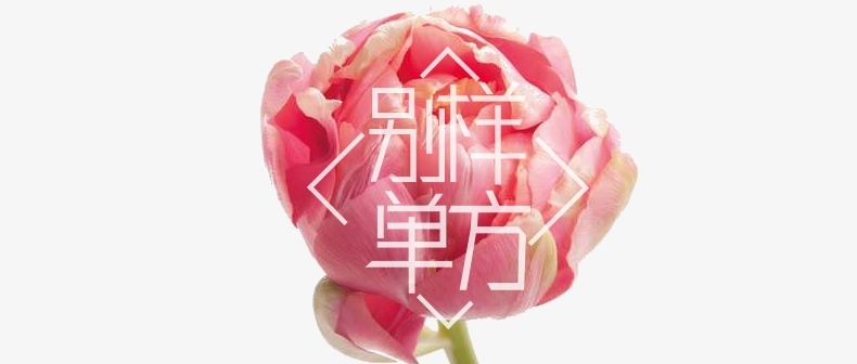 封面.jpg