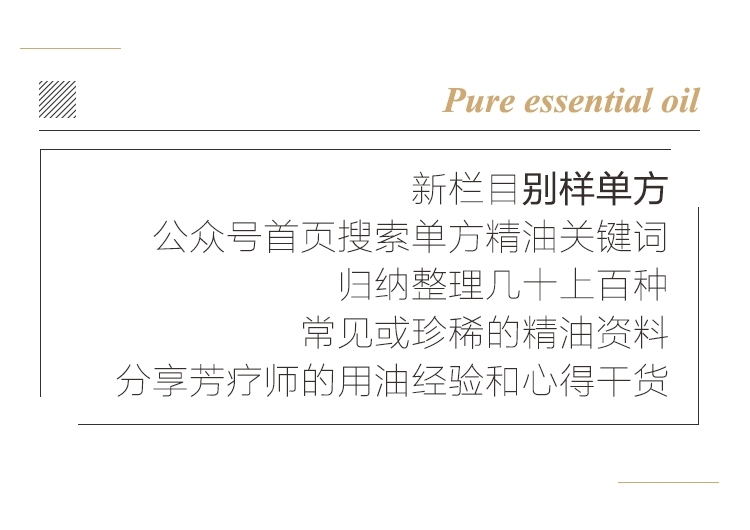 单方.jpg