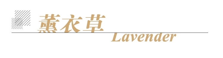 薰衣草单方标题.jpg
