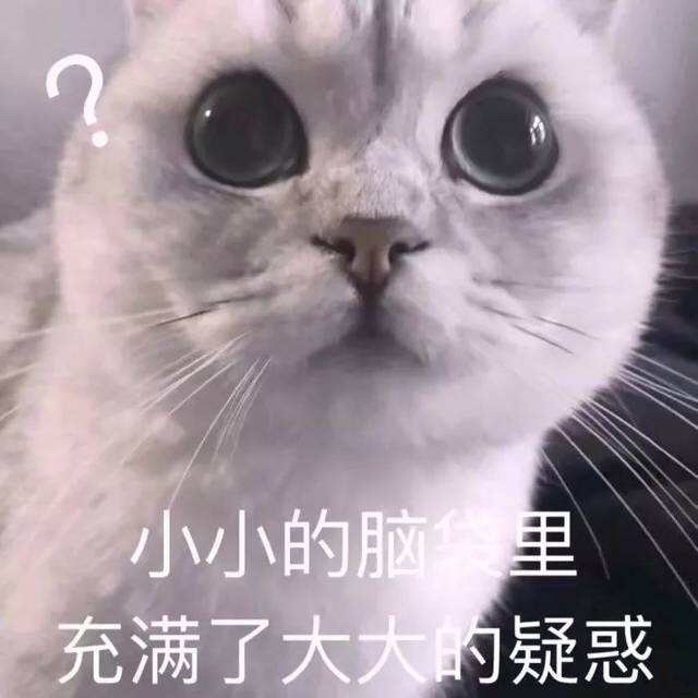 1582969566753749264.jpg