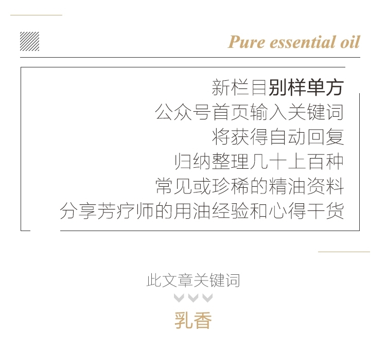 乳香关键词.jpg