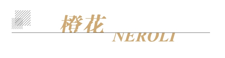 单方标题.jpg