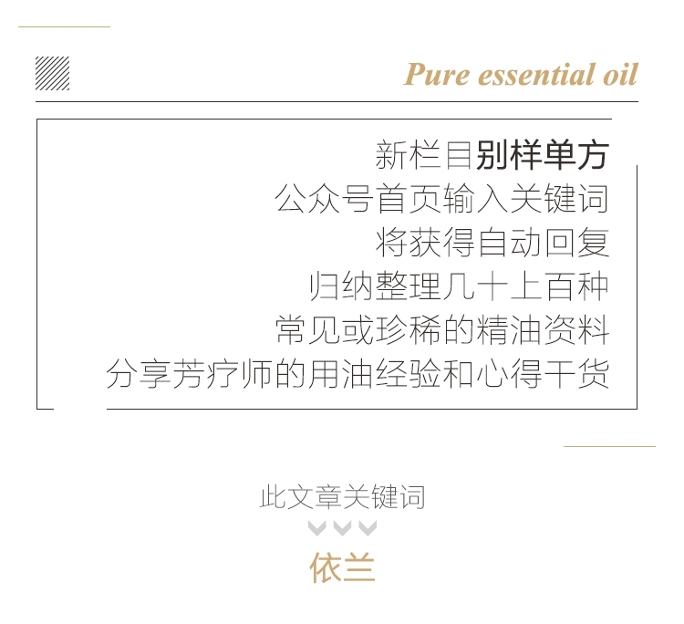 依兰关键词.jpg