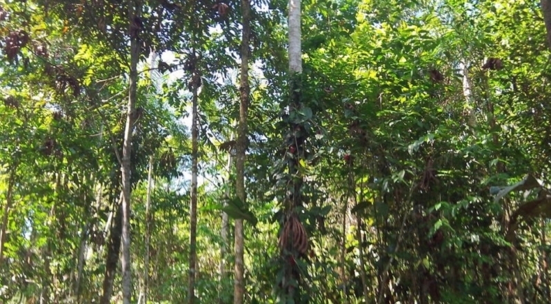 094853wy0iv4v4awvivi2p.jpg.thumb.jpg