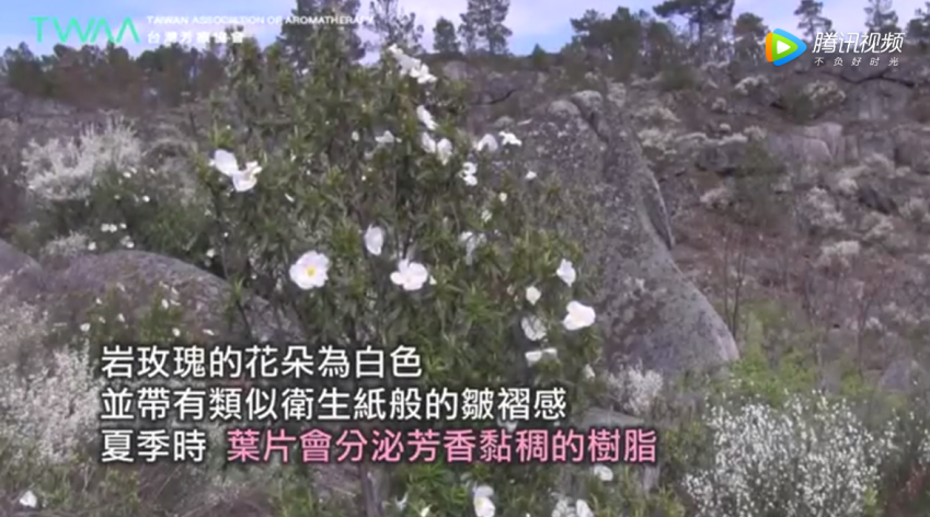 微信图片_20200306111324.png