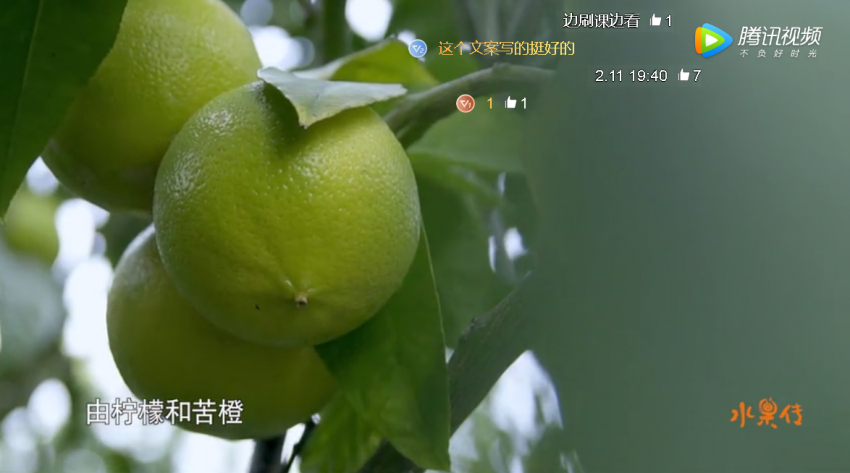 微信图片_20200307135914.png