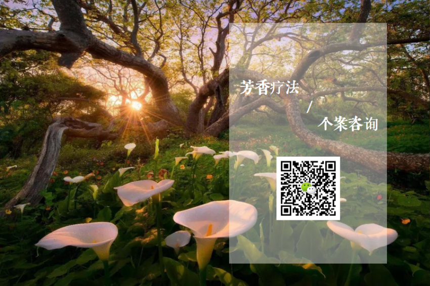 微信图片_20200309172037.png