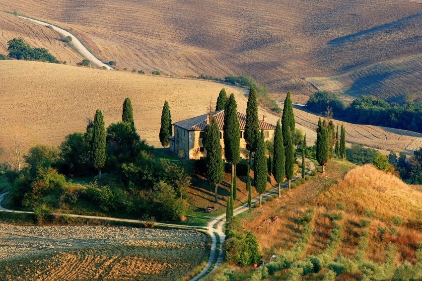 丝柏Image by Klaus Stebani from Pixabay .jpg