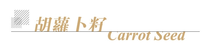 胡萝卜籽单方标题.jpg