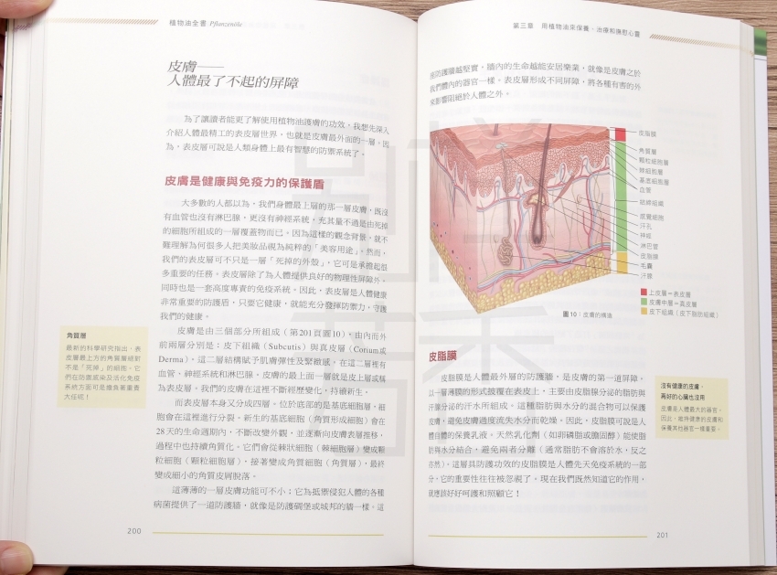 皮肤部分.jpg