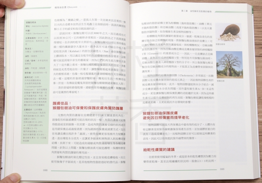 猴面包树油.jpg