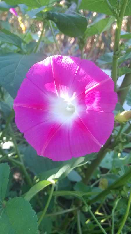 img_20140903_155332.jpg