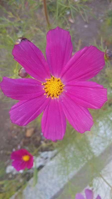 img_20140905_160530.jpg