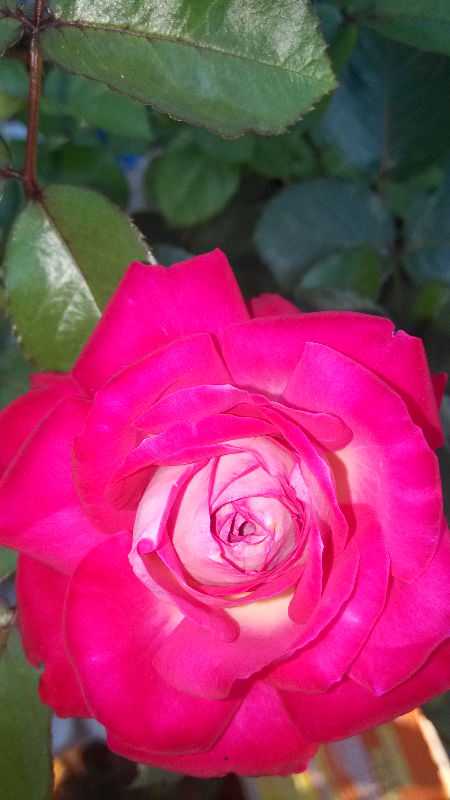 img_20140804_180024.jpg