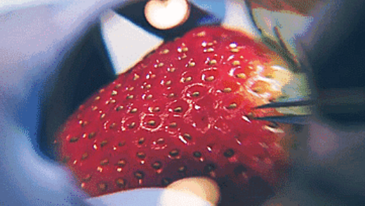 微信图片_20200503203356.png