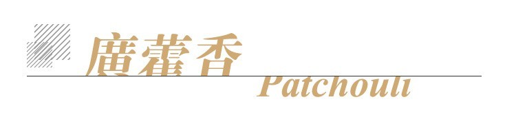 广藿香单方标题.jpg