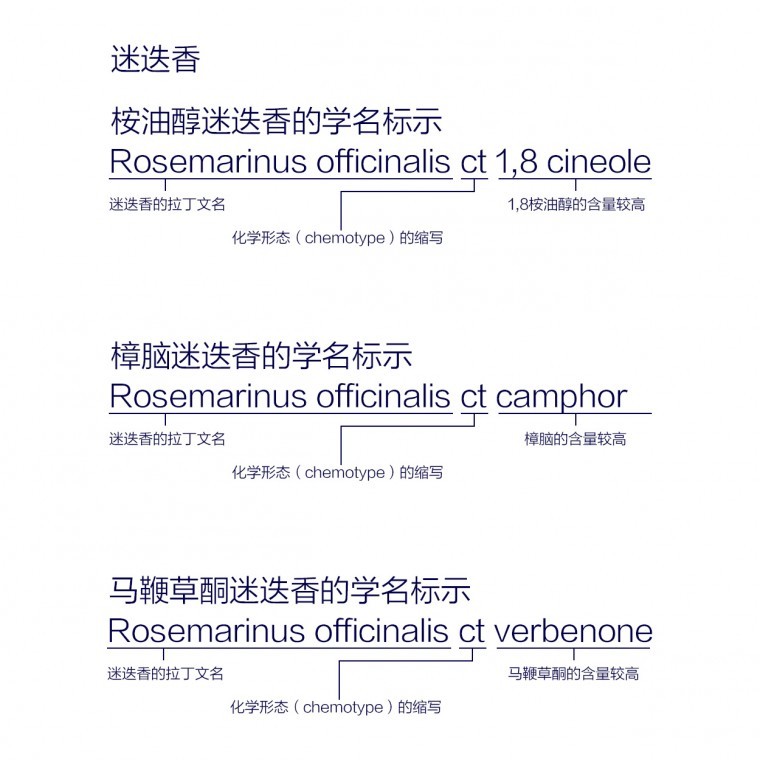 化学形态.jpg