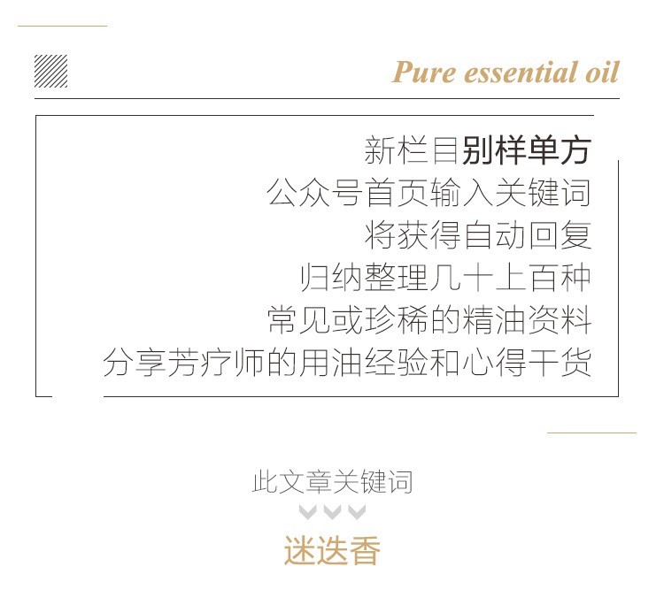 迷迭香柚关键词.jpg
