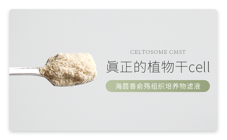 海茴香干细胞图片.png