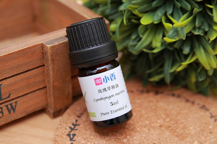 玫瑰草111.jpg