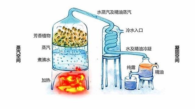QQ图片20200614131141.jpg